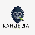 НЕЗАВИСИМЫЙ (12)